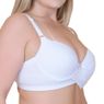 plussize2247--8-